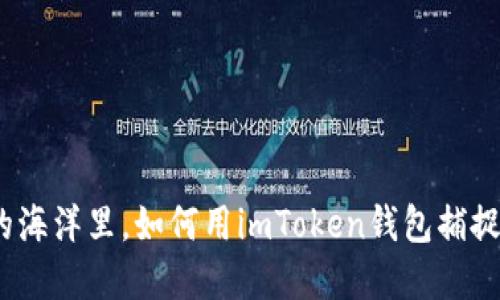 在数字资产的海洋里，如何用imToken钱包捕捉新币的金鱼？