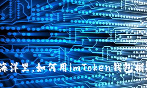 在数字资产的海洋里，如何用imToken钱包捕捉新币的金鱼？