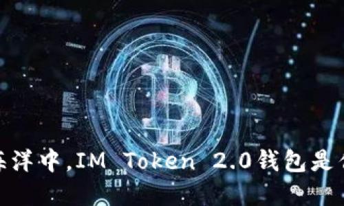 在数字货币的海洋中，IM Token 2.0钱包是你的安全救生艇