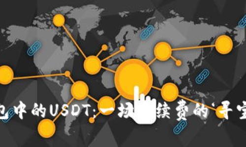“IM钱包中的USDT：一场手续费的‘寻宝之旅’”