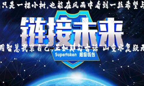   比特币托管钱包如同拥有一座金库却忘记上锁，你的财富安全了吗？ / 

 guanjianci 比特币, 托管钱包, 网络安全, 盗窃事故 /guanjianci 

比特币的魅力与风险并存

在数字货币的世界里，比特币无疑是一颗耀眼的明星。就像金矿的发现吸引着众多矿工，越来越多的人们开始进入这个虚拟的“金矿”，希望能在比特币的浪潮中发掘财富。然而，这个虚拟财富的背后，却隐藏着诸多不可预知的风险。最近，关于比特币托管钱包被盗的新闻层出不穷，成为人们茶余饭后的热门话题。谁能想到，这座光芒四射的金库，居然可能因为一个简单的失误而变得岌岌可危？

什么是比特币托管钱包？

在深入讨论比特币托管钱包被盗事件之前，我们首先要了解什么是比特币托管钱包。简单来说，托管钱包就像银行的一扇窗户，用户把自己的比特币存放在这个“银行”，由第三方机构负责管理和保护。这对初学者而言，是一种相对安全、容易上手的选择。

然而，理想很丰满，现实总是很骨感。尽管托管钱包提供了便捷性和安全性，但一旦这些第三方机构的安全措施出现漏洞，用户的资产便会面临危机。想象一下，你辛辛苦苦攒下的财富，就这样在一瞬间化为乌有，作为人类何其无奈啊！

比特币托管钱包被盗的案例分析

记得去年，某知名的比特币托管服务平台被黑客攻击，损失惨重。用户们的比特币在瞬间灰飞烟灭，宛如梦中情人突然消失一般。这样的事件时常让人心中一颤，谁还敢轻易相信虚拟财富的安全呢？

在这个案例中，黑客利用了平台安全性上的漏洞，成功侵入了他们的系统，获取了大量用户的比特币。从某种意义上说，这就像是有人在夜间撬开了你的金库大门，而你心爱的财富就这样被人一抢而空。万般皆苦，谁会愿意经历这样的痛苦呢？

如何保护你的比特币托管钱包？

面对这些屡屡发生的盗窃事件，如何有效保护自己的比特币托管钱包呢？答案其实并不复杂，和生活中保存个人财物的道理是一样的。你会选择把贵重物品留在容易被发现的地方吗？当然不。保护自己的比特币也需要谨慎对待。

首先，选择信誉良好的托管服务提供商，查看他们的安全措施与防护等级。相信大家都听过“树大招风”这句话。在网络安全领域，这一点更是适用。那些知名度高、用户口碑好的平台，更有动力提升自身的安全防护。

其次，尽量开启双重认证。这就像你在外出旅行时，总是习惯锁上门窗，确保自己的安全。同时，还可以运用一些密码管理工具，确保密码的复杂性与唯一性。就像吃苹果时不小心被虫蛀，何必把所有的“苹果”都堆在同一个篮子里呢？

遇到比特币盗窃事件后的应对措施

如果不幸遭遇比特币托管钱包被盗的事件，保持冷静是至关重要的。虽然心中千般愤懑，然而情绪的失控并不能解决问题。首先，应立即联系服务提供商，告知他们发生的盗窃事件。他们可能会采取一些措施减缓损失，甚至试图找出盗贼的蛛丝马迹。

其次，记录每一个细节，包括被盗的比特币数量、盗窃发生的时间等等。这样的信息不仅有助于服务提供商进行调查，万一有所进展，也能为你提供证据，帮助你进行后续行动。此外，及时检查你的账户安全状态，确保没有更多资产遭受侵害。

让技术帮助我们更好地保护数字资产

在过去的几年中，随着科技的不断进步，各种安全保护手段也应运而生。从多重签名技术到区块链透明度的提升，这些技术逐渐为用户提供了更加安全、便捷的管理方式。使用硬件钱包也许是一个较好的选择。就像你出门时，身边总带着一个小护身符，硬件钱包将比特币存于离线状态，极大降低了被盗的风险。

看似简单却不可忽视的安全细节

同样，保持个人设备的安全也至关重要。从操作系统到应用程序的定期更新，都是为了抵挡外界的侵扰。如果你的电脑像一扇开着的窗户，轻易让黑客闯入，那么无论你有多高明的防护措施，终究还是无法完全有效。此外，确保在公共Wi-Fi环境下避免进行任何投资操作。想象一下，在喧闹的咖啡馆里，你像无畏的海盗一样，一边喝着咖啡，一边畅游在数字财富的海洋中，而旁边的黑客则正得意地盯着你的屏幕，窃笑不已。

心理建设与教育

最后，不得不提的是个人教育和心理建设。人们常说，“知识就是力量”，在比特币投资的旅程中，了解基础知识，预防潜在风险，是守护财富的重要一环。因此，与其总是在被盗后反思，不如在平日多花时间了解网络安全相关知识。

其实，投资比特币就像种树，收获的同时也在为未来的风浪做好准备。你的心态将决定你的投资之路，保持理性，学会调整自己的情绪。就算风雨再大，也要坚定地挺立在自己的土地上，哪怕只是一棵小树，也能在风雨中看到一丝希望与光明。

结语：登山的顶峰与低谷

在这条充满荆棘的比特币投资道路上，每个人都希望迈向顶峰，一览众山小。然而，任何一座高山都不是一蹴而就的。面对比特币托管钱包被盗的风险，需要我们以更加谨慎的态度去面对，用智慧武装自己。正如那句古话“山重水复疑无路，柳暗花明又一村”，只有不断地学习与反思，才能在未来的投资过程中避开风险，实现财富的真正自由。

最后，借用一句轻松的话结束今天的分享，“人生苦短，何不让比特币为我们提供更多的乐趣与财富呢？”希望每位读者的比特币旅途都能风平浪静，继续获得理想的收获。