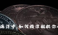 在数字货币的海洋中，如