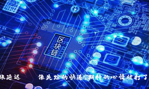 钱包到账延迟——像失踪的快递，期待的心情被打了个问号！