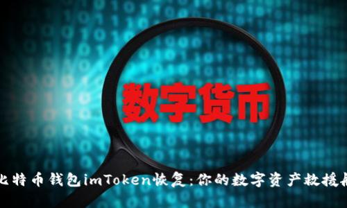比特币钱包imToken恢复：你的数字资产救援船