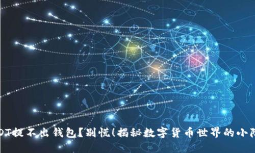 USDT提不出钱包？别慌！揭秘数字货币世界的小障碍