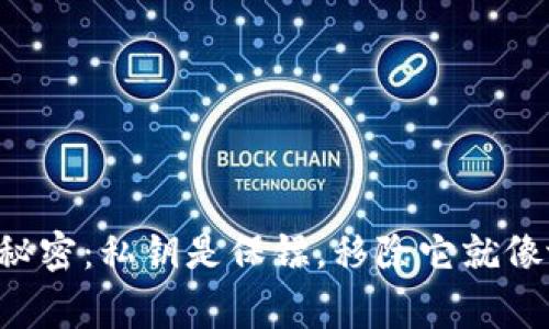 解锁比特币钱包的秘密：私钥是保镖，移除它就像放走了家里的门卫！