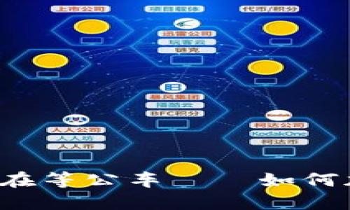 比特币钱包同步慢得像在等公车——如何加速你的数字资产之旅？