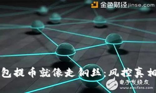 Web3钱包提币就像走钢丝：风控真相大揭秘！