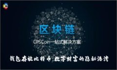 钱包存放比特币：数字财