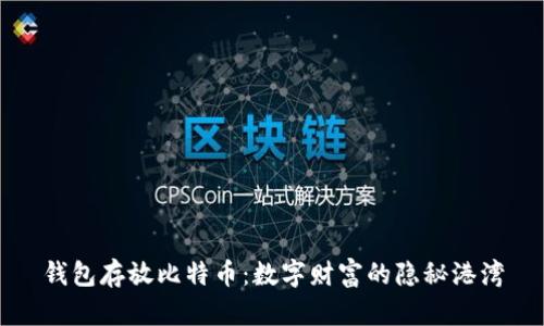 钱包存放比特币：数字财富的隐秘港湾