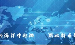 在数字钱包的海洋中遨游