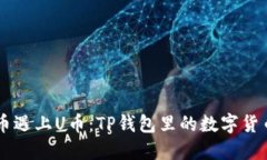 当比特币遇上U币：TP钱包