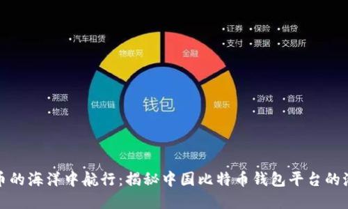 在数字货币的海洋中航行：揭秘中国比特币钱包平台的潮流与浪花