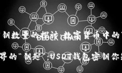 USDT钱包密钥数量的探讨：