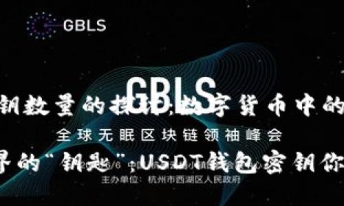 USDT钱包密钥数量的探讨：数字货币中的“钥匙”之旅

数字货币世界的“钥匙”：USDT钱包密钥你知道多少位？