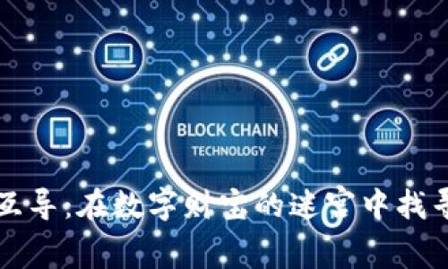 “比特币钱包互导：在数字财宝的迷宫中找寻你的金钥匙”