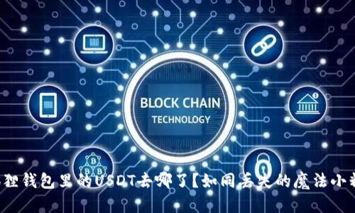 小狐狸钱包里的USDT去哪了？如同丢失的魔法小精灵！