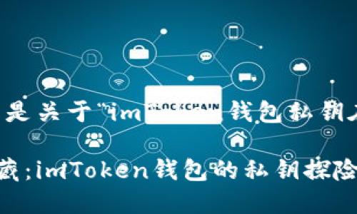 当然可以！以下是关于“imToken钱包私钥在哪里”的内容。

寻找私钥的宝藏：imToken钱包的私钥探险记