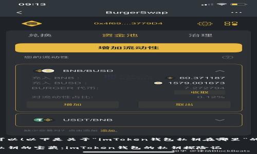 当然可以！以下是关于“imToken钱包私钥在哪里”的内容。

寻找私钥的宝藏：imToken钱包的私钥探险记