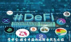 掌中宝：探索中国的比特