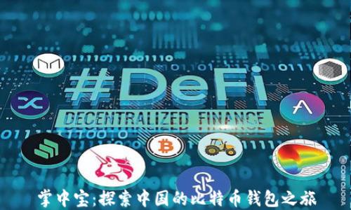 
掌中宝：探索中国的比特币钱包之旅