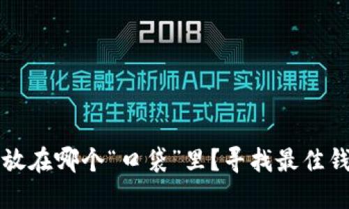 比特币到底该放在哪个“口袋”里？寻找最佳钱包的趣味旅程