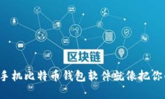 掌中宝：为什么选择手机