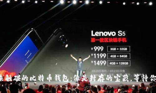 jiaoti未触碰的比特币钱包：像是封存的宝藏，等待你的挖掘