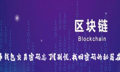 比特币钱包交易密码忘了？别慌，找回密码的秘籍在这里！
