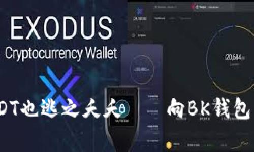 “当你的钱包被盗，USDT也逃之夭夭——向BK钱包客服求助的完美指南”