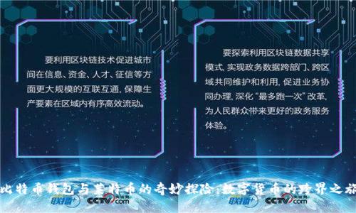 比特币钱包与莱特币的奇妙探险:数字货币的跨界之旅