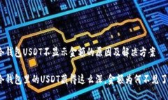 冷钱包USDT不显示金额的原