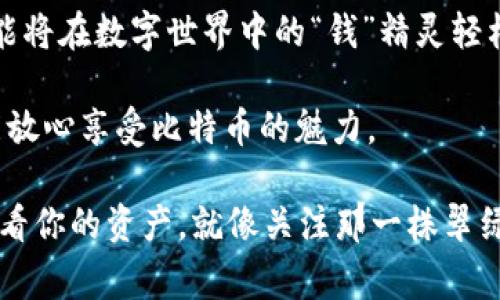 在iOS上下载比特币钱包其实非常简单，就像在超市挑选你最喜欢的零食一样。只需要几个步骤，你就能把比特币钱包装进你的手机，随时随地管理你的数字资产了。那么，让我们一起深入了解，如何在iOS设备上下载比特币钱包。

一步一步，轻松下载比特币钱包

下载比特币钱包的第一步，就是打开你手机上的App Store。就像进入一个充满奇妙选择的宝库，App Store里有无数的应用等待着你去探索。此时，你可以在搜索框中输入“比特币钱包”，或者具体的应用名称，像是“Coinbase”、“Blockchain Wallet”等等，让你心仪的选择从虚无走向现实。

挑选你的钱包，像挑选好书一样

在App Store搜索结果中，你会看到各种各样的比特币钱包应用。就像在书架上挑选一本好书，每一个钱包都有自己的特色和功能。比如，strongCoinbase/strong 是一个非常受欢迎的交易平台和钱包，操作简单，适合新手；而strongBlockstream Green/strong 则更注重安全性，适合经验丰富的用户。

在挑选钱包时，可不要忘了查看用户评价和评分哦。想象一下，如果你打算在超市买零食，坏评比好评多的选择就像是“绝对不值得尝试”的小黑洞，结果可能会让你感到失望。在App Store上，用户的评价和评分可以帮助你更好地判断哪个钱包最适合你的需求。

下载安装，轻松完成

一旦你选定了比特币钱包，点击“获取”或者“下载”按钮，然后耐心等待安装完成。这就跟泡茶一样，虽然过程需要一点时间，但茶香四溢的结果让你倍感期待。

完成下载后，你只需找到新安装的应用图标，点击打开。此时，你的比特币钱包就像你的小伙伴，准备好带你进入数字货币的奇妙世界。

设置钱包，像给新车上牌照

第一次打开钱包应用时，通常需要进行一些基本设置。在这里，你就像为新买的车上牌照一样，务必按照要求填写信息。许多钱包会要求你设置一个复杂的密码，以确保你的资金安全。记住，密码就好比一把锁，越复杂，越难被人破解。

在设置过程中，你可能会被要求记录一组种子词（seed phrase），这些词是你钱包的保险，如果你不小心忘记密码或者丢失设备，这组词能帮助你找回钱包。就像是保留好钥匙的一份副本，确保不会因为一次小失误而丢失大财富。

使用钱包，享受灵活与便捷

钱包设置完成后，你可以开始进行比特币的发送、接收和存储。每次交易就像是给好友发红包，简单又快捷。只需输入对方的比特币地址和金额，然后轻松点击确认。

当然，你也可以通过扫描对方钱包的二维码来接收比特币，这种方式就像在派对上和朋友见面，总是轻松而愉快。

如何保障钱包安全，像为家装上防盗门

在享受比特币钱包便捷的同时，保障安全也是至关重要的。想象一下，如果你的家没有安装防盗门，随时都有可能被不速之客光顾。一样的道理，钱包的安全防护很重要。

除了设置强密码和保存好种子词外，开启双重验证也是一个好方式。这种就像在家里装上监控摄像头，能时刻提醒你注意周围的安全。

总结：下载比特币钱包的乐趣与重要性

在iOS上下载比特币钱包就像king-size沙发，宽广而舒适，让你轻松享受数字货币的乐趣。只需在App Store搜索、选择、下载并设置，就能将在数字世界中的“钱”精灵轻松掌握。不过，记得在安全上多花点功夫，毕竟财富的保管可不能太轻率。

现在你应该对如何在iOS上下载和使用比特币钱包有了更清晰的认识：就像在购物时仔细挑选商品，确保钱包的选择合适并且安全，才能放心享受比特币的魅力。

最后，善用比特币钱包，你会发现管理你的数字资产就如同管理自己的花园，只要用心浇灌、维护，终会收获丰硕的果实。记得常常回来查看你的资产，就像关注那一株翠绿的植物，记录成长的每个瞬间。