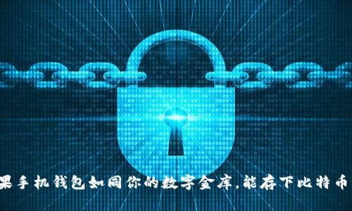 苹果手机钱包如同你的数字金库，能存下比特币吗？