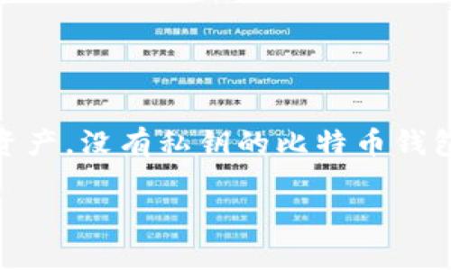 私钥是比特币和其他加密货币中至关重要的一部分，它就像是你银行账户的密码，拥有它才能访问和管理你的资产。没有私钥的比特币钱包，基本上相当于一个锁得紧紧的保险箱，里面的东西你永远无法拿出来。那么，今天我们就来深入探讨这个话题。

没有私钥的比特币钱包就像失去了钥匙的保险箱，永远无缘那笔财富！