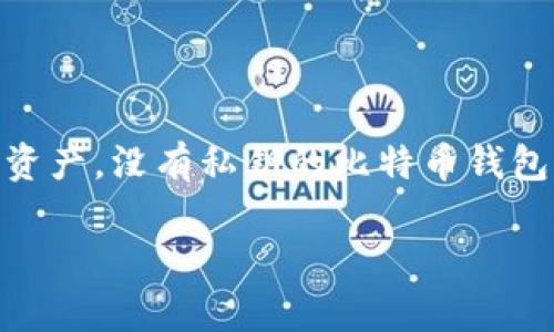 私钥是比特币和其他加密货币中至关重要的一部分，它就像是你银行账户的密码，拥有它才能访问和管理你的资产。没有私钥的比特币钱包，基本上相当于一个锁得紧紧的保险箱，里面的东西你永远无法拿出来。那么，今天我们就来深入探讨这个话题。

没有私钥的比特币钱包就像失去了钥匙的保险箱，永远无缘那笔财富！