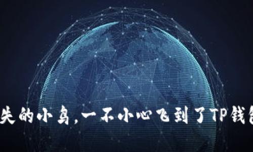 当USDT像迷失的小鸟,一不小心飞到了TP钱包的隐秘角落