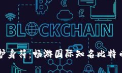 “数字黄金的护身符：畅