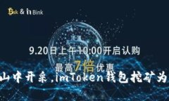 “在数字财富的矿山中开