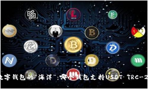  数字钱包的“海洋”：哪个钱包支持USDT TRC-20？