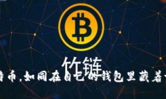 “购买比特币，如同在自