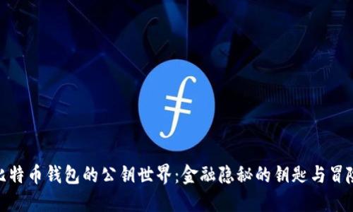 探索比特币钱包的公钥世界：金融隐秘的钥匙与冒险之旅
