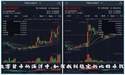 在数字货币的海洋中，如何找到稳定的比特币钱包？