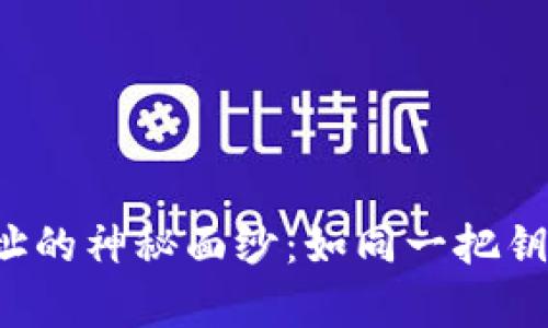 解开 imToken 钱包地址的神秘面纱：如同一把钥匙，开启数字资产的大门