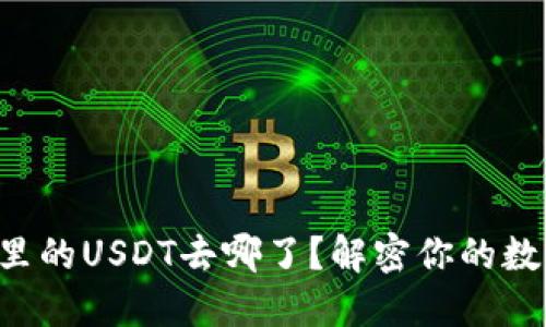 以太坊钱包里的USDT去哪了？解密你的数字资产之旅！