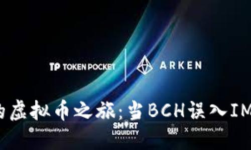 不可逆转的虚拟币之旅：当BCH误入IMToken钱包