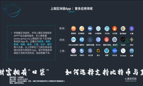 让你的数字财富拥有“口袋”——如何选择支持比特币与莱特币的钱包