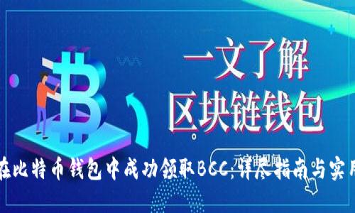 如何在比特币钱包中成功领取BCC：详尽指南与实用技巧