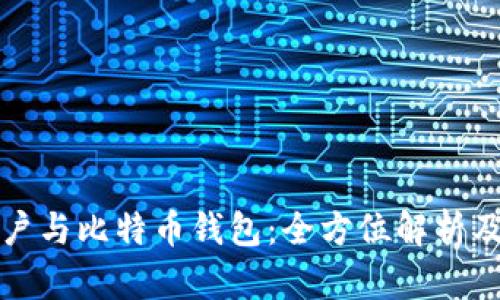 火币网账户与比特币钱包：全方位解析及使用指南