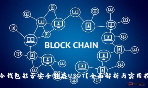 : 冷钱包能否安全转存USDT？全面解析与实用指南